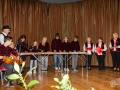 pisanica-71